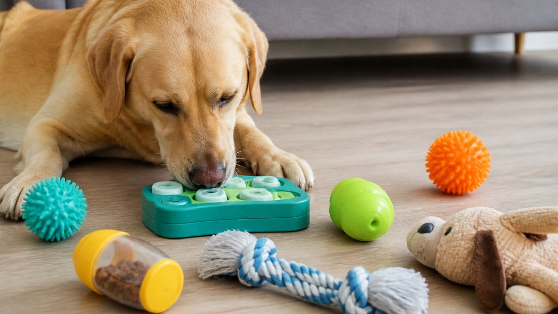 Best Dog Toys for Mental Stimulation: Top Picks & Tips