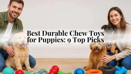 Best Durable Chew Toys for Puppies: 9 Top Picks