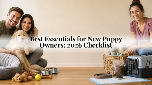 Best Essentials for New Puppy Owners: 2026 Checklist