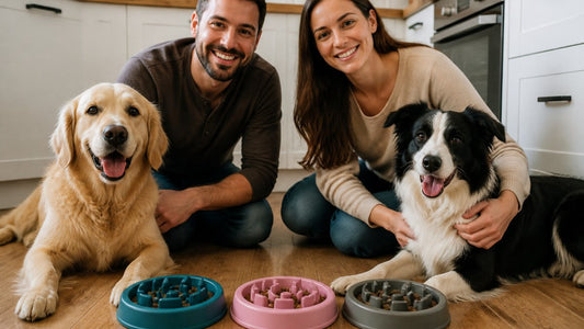 Best Slow Feeder Bowls for Dogs: Top Picks and Tips