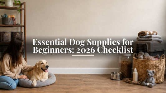 Essential Dog Supplies for Beginners: 2026 Checklist