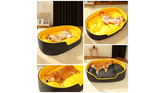 High Quality Dog Bed Reviews 2026: Top Picks Tested