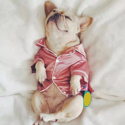 Pet Pajama-1