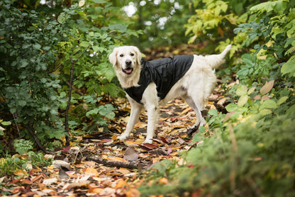 Waterproof Packable Dog Raincoat – Adjustable Hood