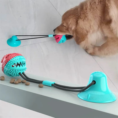 Suction Cup Interactive Ball Toy for Dogs