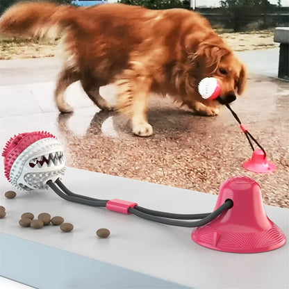 Suction Cup Interactive Ball Toy for Dogs