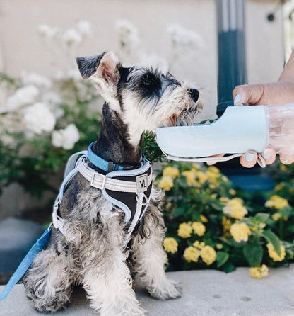 2-in-1 Portable Pet Feeder and Water Bottle
