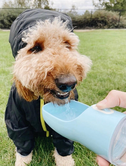 2-in-1 Portable Pet Feeder and Water Bottle