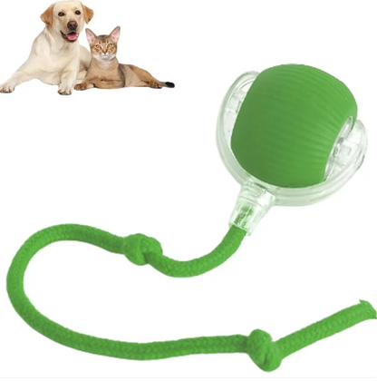 Smart Automatic Rolling Ball Toy for Cats & Dogs