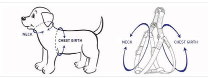 Floral Step-In Dog Harness Bundle – Red (4 Pieces)