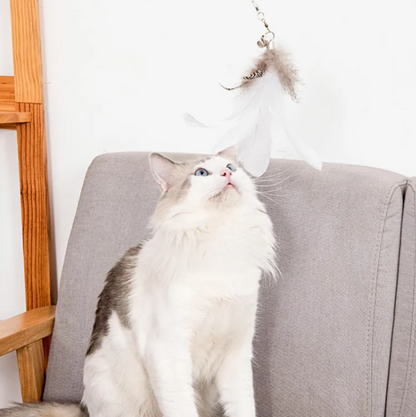 Suction Cup Cat Wand Rod Toy – Interactive Feather Teaser