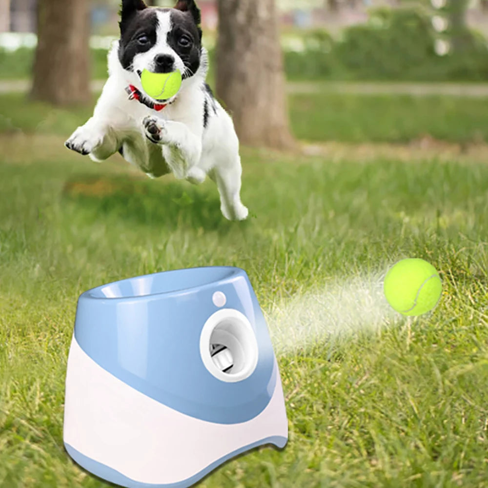 Automatic Tennis Ball Launcher for Dogs – Auto Fetch Machine