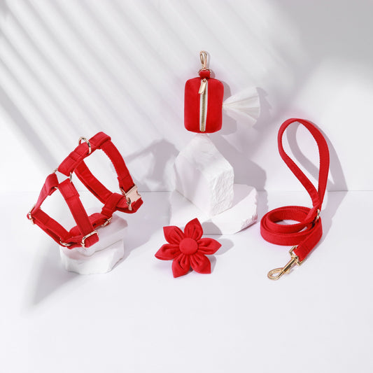 Floral Step-In Dog Harness Bundle – Red (4 Pieces)