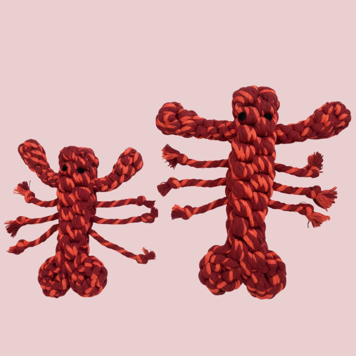 Coral Pop Lobster Pet Toy | Thicker and Stronger