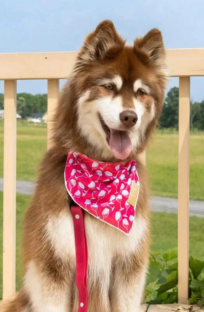 Red Mountain Syrah Dog Bandana and Matching Keychain