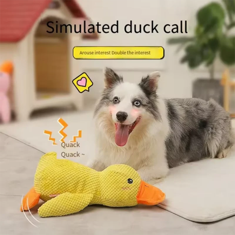 Dog sleeping with a dog hug duck toys to relieve boredom of little yellow duck pet interactive plush doll pet supplies-1