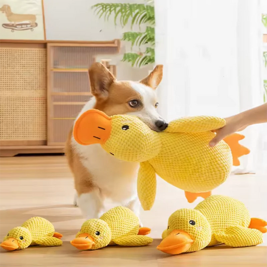 Dog sleeping with a dog hug duck toys to relieve boredom of little yellow duck pet interactive plush doll pet supplies-0