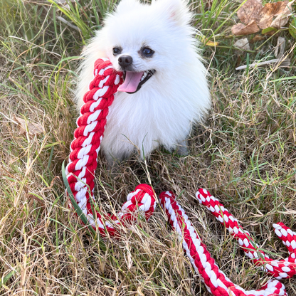 Braided Candy Cane Rope Dog Toy