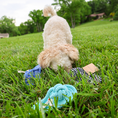 Slipper-Shaped Rope Chew Toy for Dogs