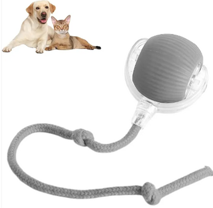 Smart Automatic Rolling Ball Toy for Cats & Dogs