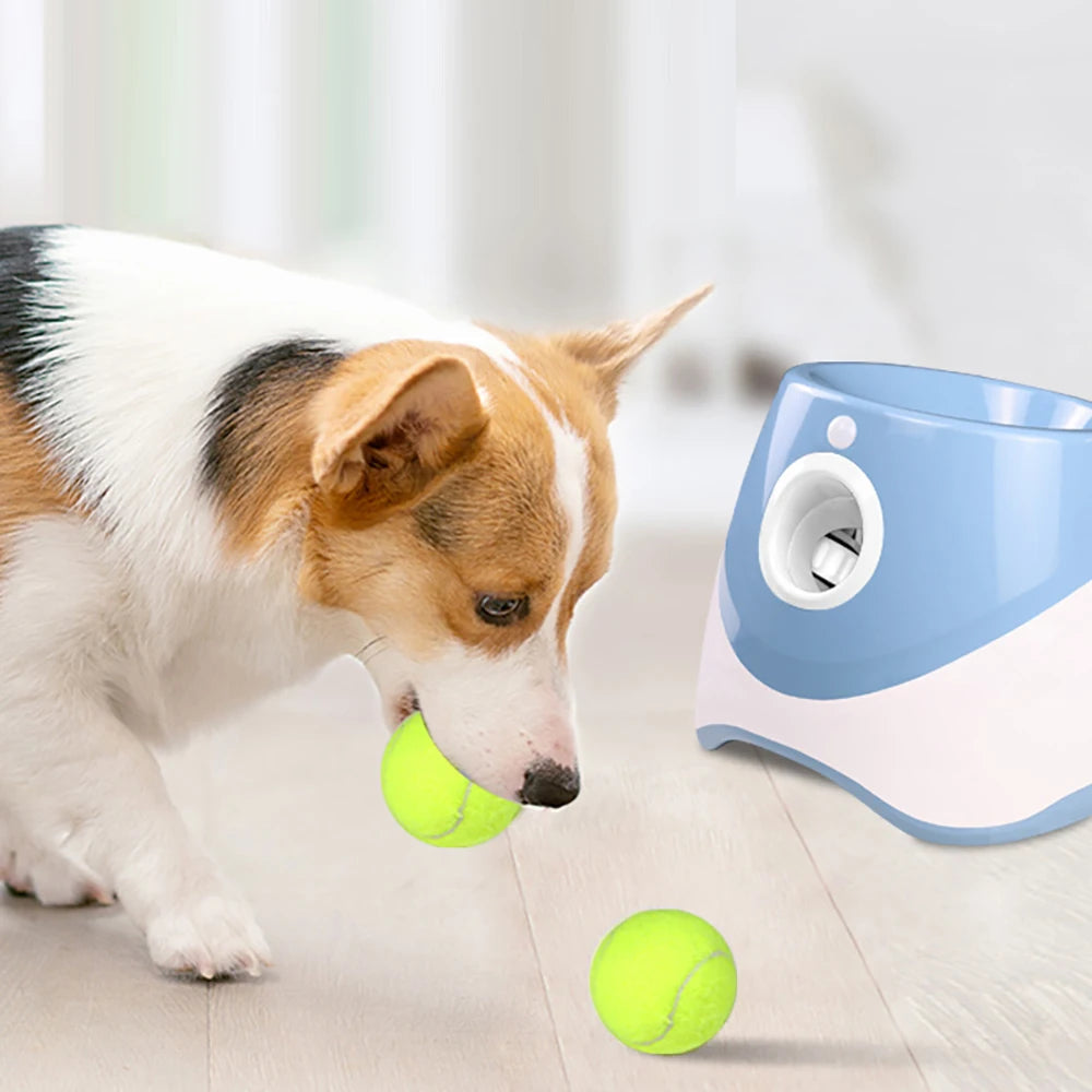 Automatic Tennis Ball Launcher for Dogs – Auto Fetch Machine