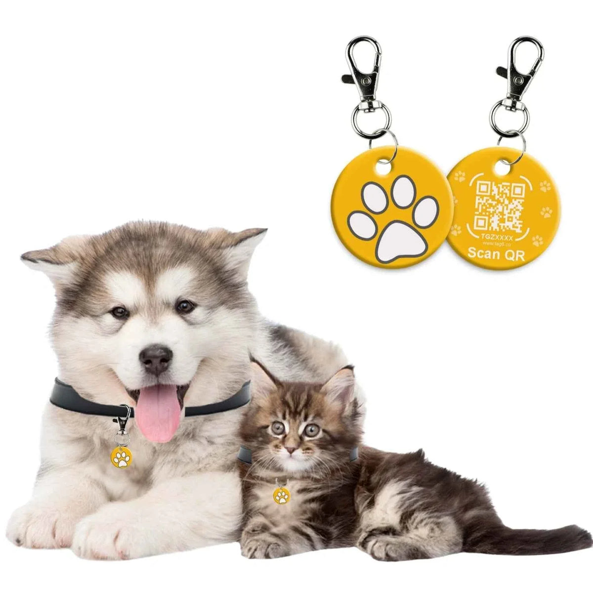 Genie Pet Tag-0