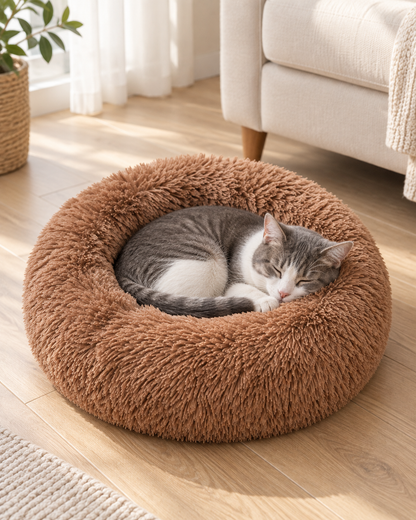 A small gray-and-white cat curled in a Coffee-brown shaggy donut pet bed beside a cream sofa.