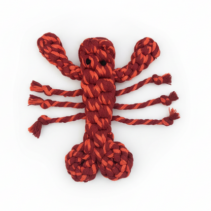 Coral Pop Lobster Dog Toy – Thick and Durable Rope