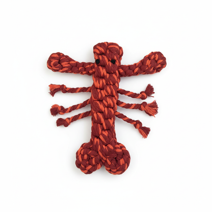 Coral Pop Lobster Dog Toy – Thick and Durable Rope