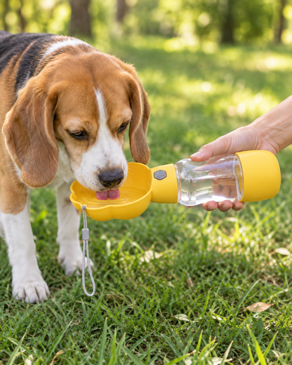 Beagle drinking from the yellow bottle’s paw-shaped tray while an adult holds it level in a park.