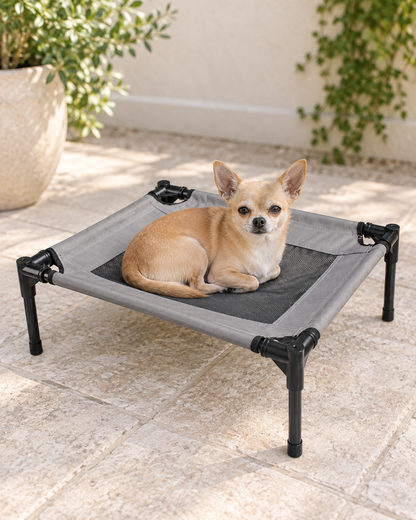 A small tan Chihuahua resting on the gray and black elevated pet cot on a shaded patio.